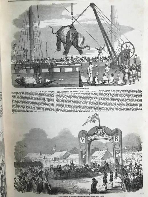 含中国内容！41.5*29.5cm！1858年1~6月 伦敦新闻画报 数百幅版画插图 漆布精装8开 商品图12