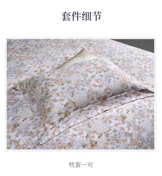 惠谊软糯亲肤秋冬柔软保暖磨毛花卉印花双人四件套望春风 商品图5