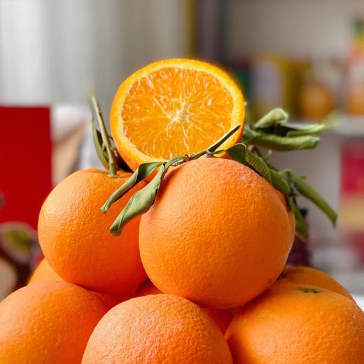 【春之语】湖北伦晚橙 商品图2