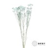 永生花材 | 小米花漂浅蓝 商品缩略图1