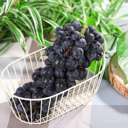 云南夏黑葡萄 Xiahei Grape 500g/袋 商品图0