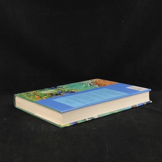 追忆梵高 125幅彩色103幅黑白插图 精装8开 商品图2