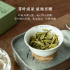 「北路白茶」梨白 福鼎白茶特级白牡丹2024年明前茶叶新茶散茶250g 商品缩略图3