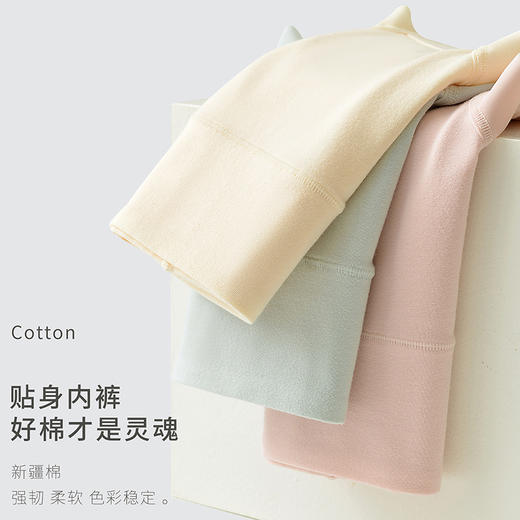 【超值2条装！胖MM专属】新疆长绒棉女士内裤女纯棉高腰收腹无痕透气抗菌大码胖mm 商品图3