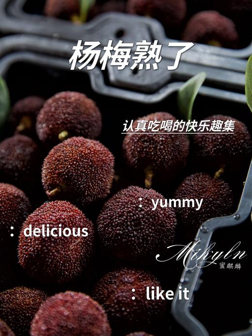 口口爆汁，颗颗甄选！【浙江东魁杨梅/蜜丝杨梅】高山密林种植 自然生态甜度高 颗颗饱满汁水足！ 商品图2