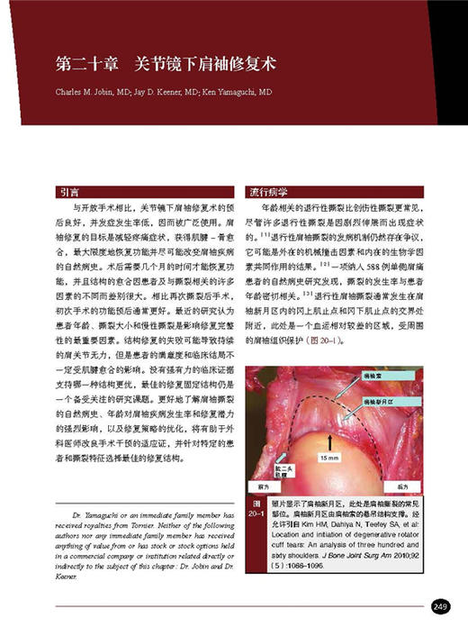 肩部与肘部 美国骨科医师学会骨科知识更新 查晔军主译 骨科 创伤骨科肩肘外科学 肩袖修复 AAOS 北京科学技术出版社9787571431563 商品图2