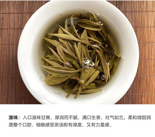 小城之春 | 【2024年新品】特级白牡丹散茶 自然山物 60g/盒 商品图5