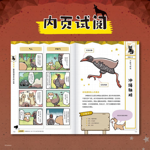 销声匿迹 : 灭绝生物轻图鉴 小学生全彩科普漫画图鉴 小天角 商品图3