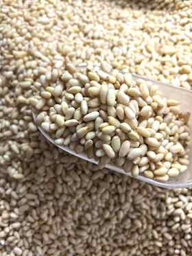 【散装，25年新货】  小颗粒 松子仁 50g/250g 生松子仁 五仁月饼烘焙用品