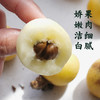 即将落市·东山白玉枇杷 果肉洁白 鲜甜微酸 水润细腻 高配单果25g+ 净重2kg箱装 当日采摘 产地顺丰发货 商品缩略图3