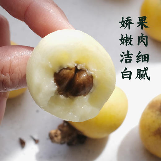 即将落市·东山白玉枇杷 果肉洁白 鲜甜微酸 水润细腻 高配单果25g+ 净重2kg箱装 当日采摘 产地顺丰发货 商品图3