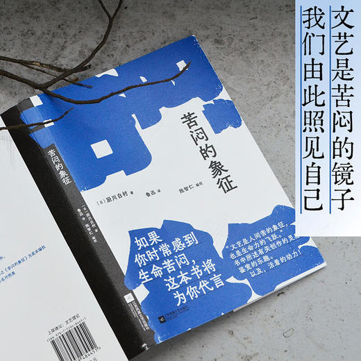 苦闷的象征（如果你时常感到生命苦闷，这本书将为你代言。书中所述有关创作的灵感、鉴赏的乐趣。以及，活着的动力！） 商品图1