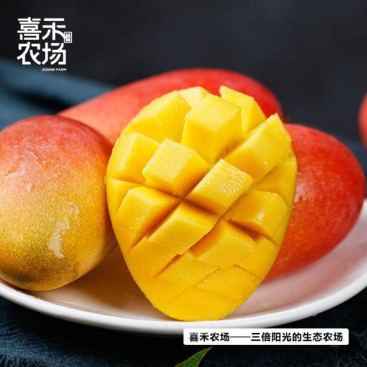 喜禾农场海南贵妃芒 | 树上成熟、自然香甜、汁多肉厚、每一口都是满足（食品不支持7天无理由）【HZ】 商品图3