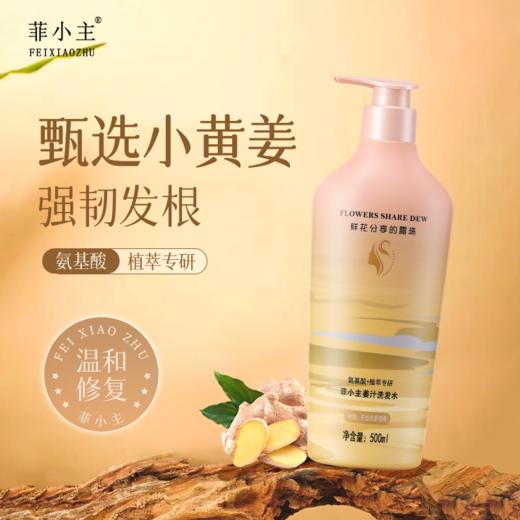 自营（菲小主）-生姜洗发水500ml滋养柔顺正品牌控油蓬松男女露 商品图1