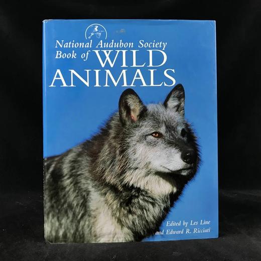 奥杜邦学会野生动物之书 150余幅彩色插图 精装大16开 商品图0