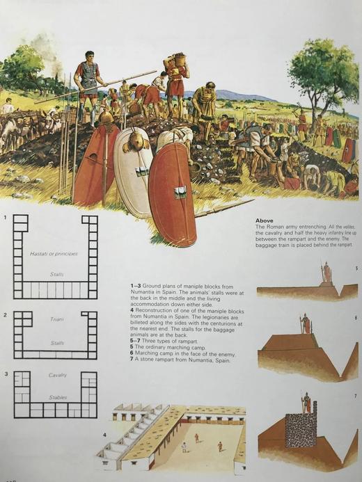 战争中的希腊与罗马 数百幅彩色插图 精装大16开 商品图6