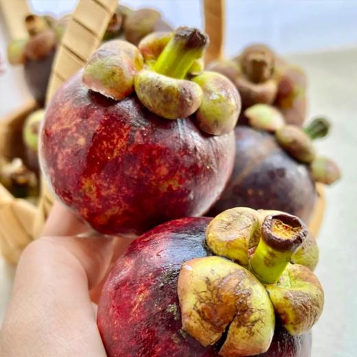 泰国东方红5A山竹（麻竹） | 水果 商品图2