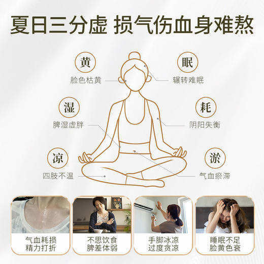 【人参精粹植物饮】多维人参皂苷 焕发精气神 商品图8