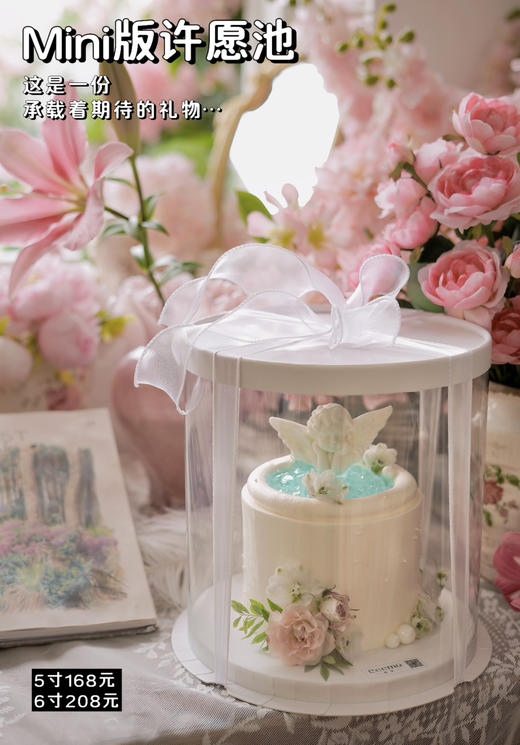 Mini许愿池 商品图1