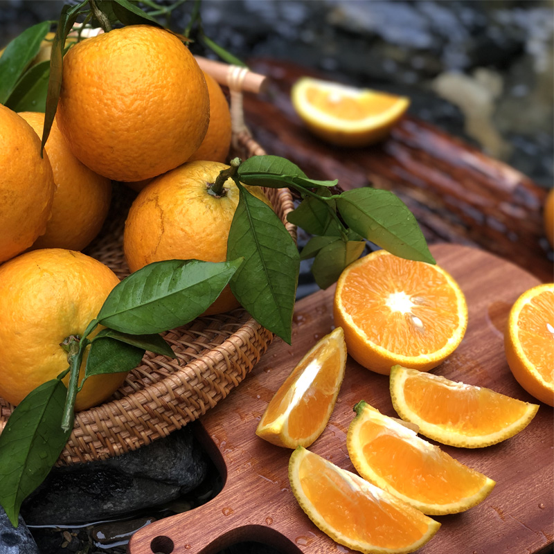 江永夏橙 不打脱酸剂甜蜜素 自然成熟新鲜采摘