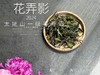 【2024春茶来了】2024一级春寿眉《花弄影》，极致的清鲜与十数种花香的激越碰撞，香清气长 商品缩略图1