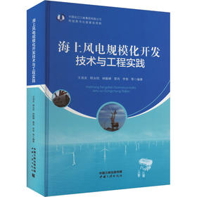 海上风电规模化开发技术与工程实践