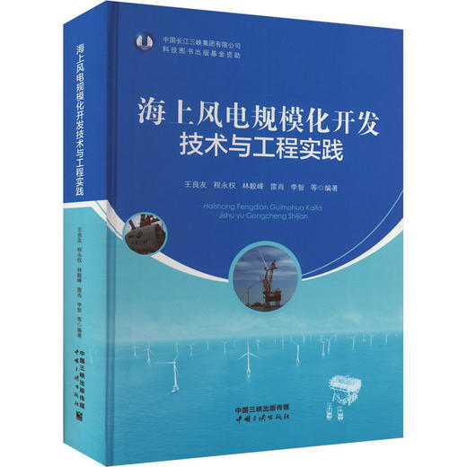 海上风电规模化开发技术与工程实践 商品图0