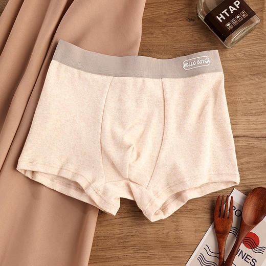 【超值3条装！简约舒适】a类棉男士内裤纯棉抗菌短裤新款透气舒适无痕四角裤纯棉大码男裤 商品图9