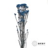 永生花材 | 小米花宝蓝 商品缩略图2