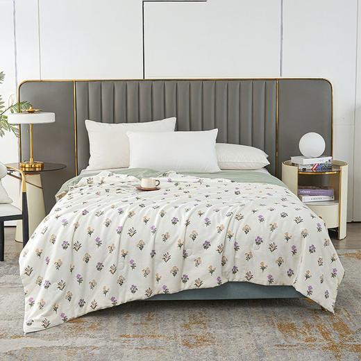 维众黄金桑蚕长丝被春夏款 商品图0