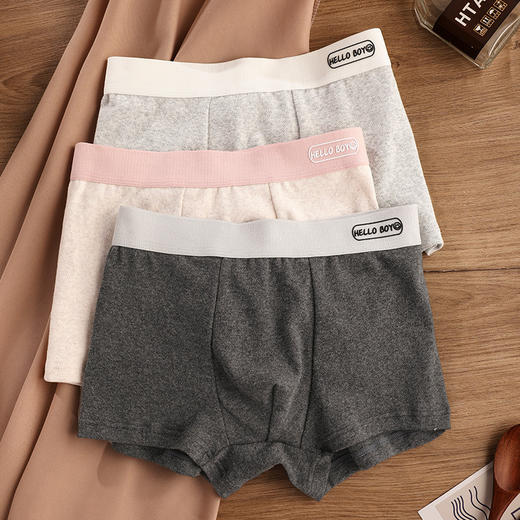 【超值3条装！简约舒适】a类棉男士内裤纯棉抗菌短裤新款透气舒适无痕四角裤纯棉大码男裤 商品图2