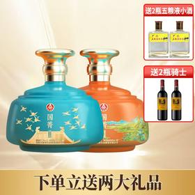 【迎端午】五粮液生态 国菁(黄色+蓝色) 绿豆酒 52度 888ml*2瓶整箱装