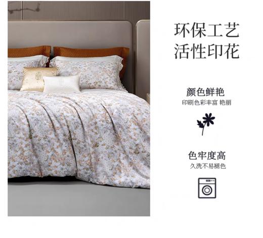 惠谊软糯亲肤秋冬柔软保暖磨毛花卉印花双人四件套望春风 商品图4