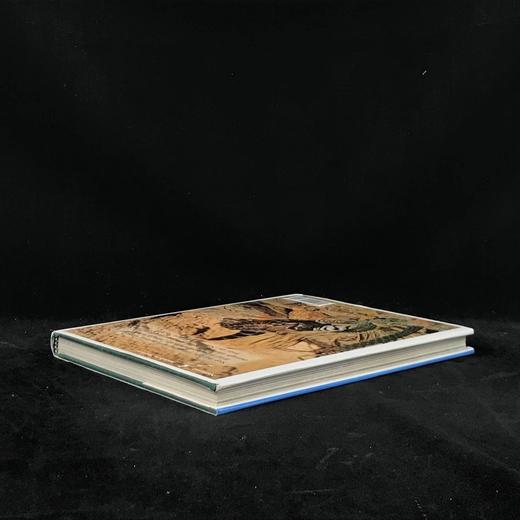 奥杜邦学会野生动物之书 150余幅彩色插图 精装大16开 商品图2