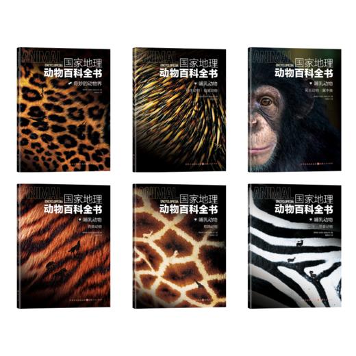 《国家地理动物百科全书》（全20册） 商品图2
