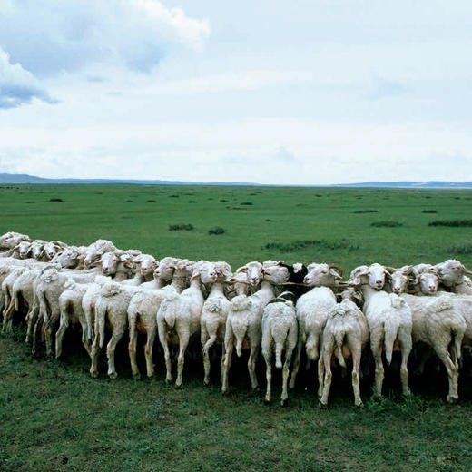 早春的中国 商品图1