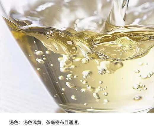 小城之春 | 【2024年新品】特级白牡丹散茶 自然山物 60g/盒 商品图2