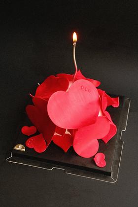 2025爱的N种语言