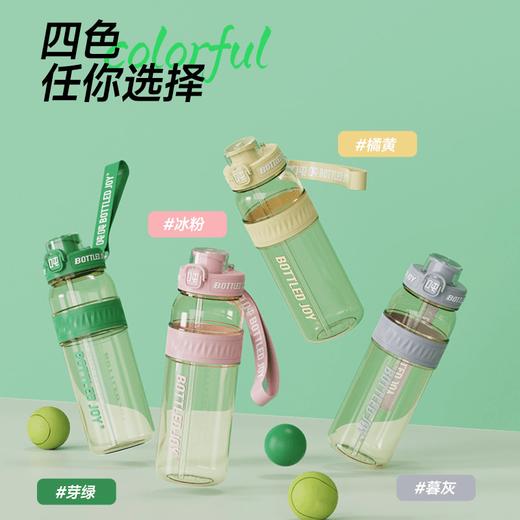 【畅吨吨PPSU款】吨吨奶瓶材质大容量多功能双饮口吸管水杯 商品图2