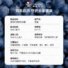 【保税】德国双心蓝莓叶黄素护眼胶囊30粒，每日一粒 日夜眼护眼胶囊专利成人眼疲劳 商品缩略图1