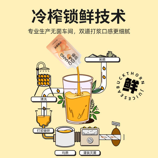尝萃1.8L（60袋）量贩装沙棘原浆 商品图2