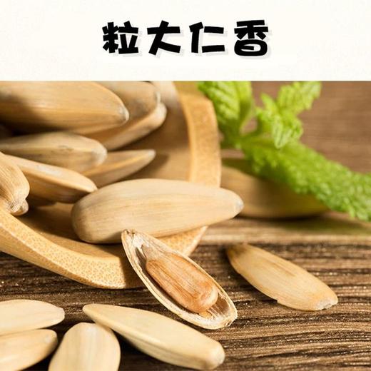 洽洽 多味瓜子 230g/袋 商品图2