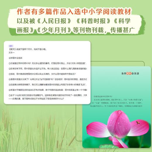 如果你是真的:逃跑熊的故事   我的植物朋友   四年级正版现货速发|名师推荐|小学生课外阅读4年级儿童课外读物 商品图7