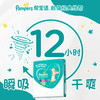 【一般贸易】美国 帮宝适（Pampers）超薄干爽纸尿裤/拉拉裤 绿帮 NB/码/S码/M码/L码/XL码/XXL码/XXXL码尿不湿 商品缩略图1
