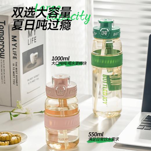 【畅吨吨PPSU款】吨吨奶瓶材质大容量多功能双饮口吸管水杯 商品图5