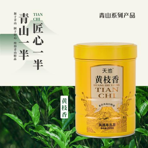 天池黄枝香125g 高山系列凤凰单枞茶叶 商品图1