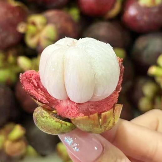 泰国进口  2A花油竹 商品图3