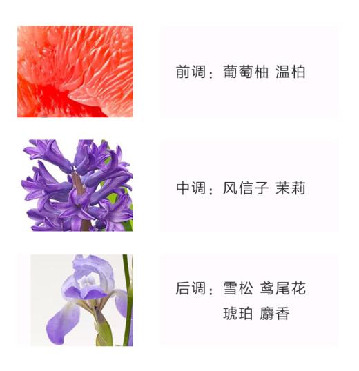 【950元会员福利】香奈儿邂逅柔情淡香水50ml-粉色（淡香） 商品图1