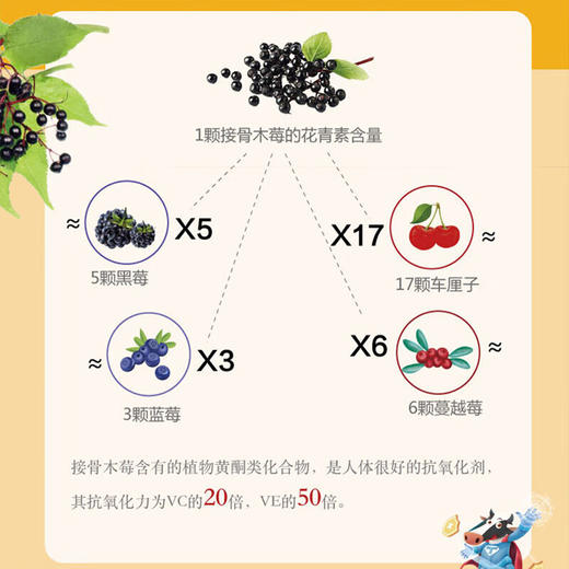 TLAMEE提拉米 原装进口黑接骨木莓小黑果维生素 100ml/盒 1盒装 商品图2