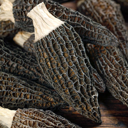 巴山羊肚菌65g 商品图4